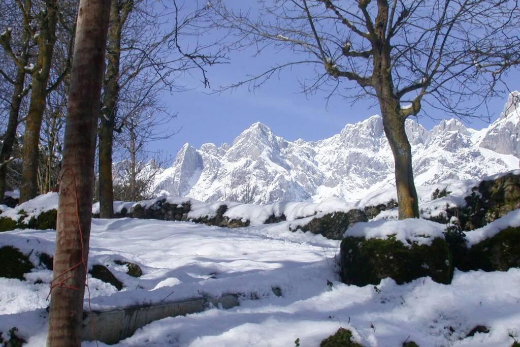 Aire De Montana - Estupendas Vistas A Los Picos Baro  Exterior foto